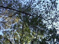 DSC00429